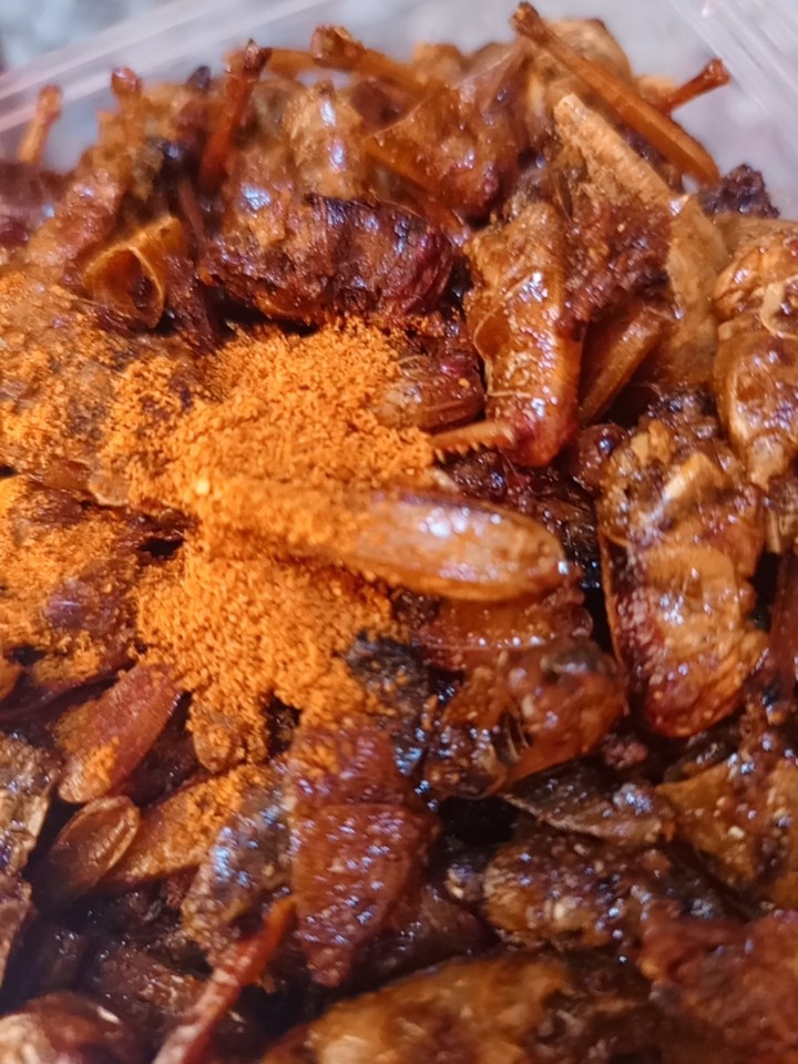 Criquets Assaisonnés